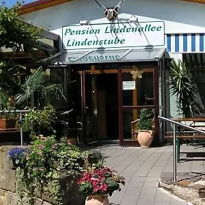 Lindenallee Gasthof Neuendettelsau